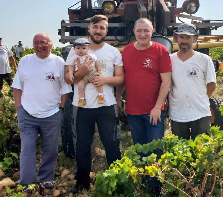 Vignerons, Châteauneuf-du-Pape