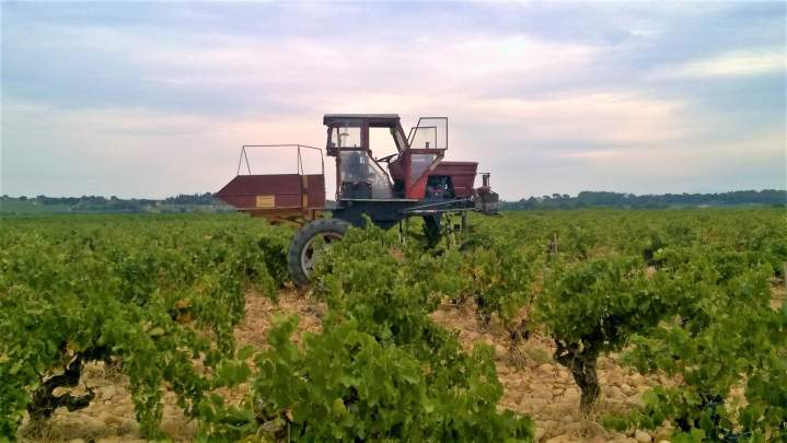 Visite de vignoble, Châteauneuf-du-Pape