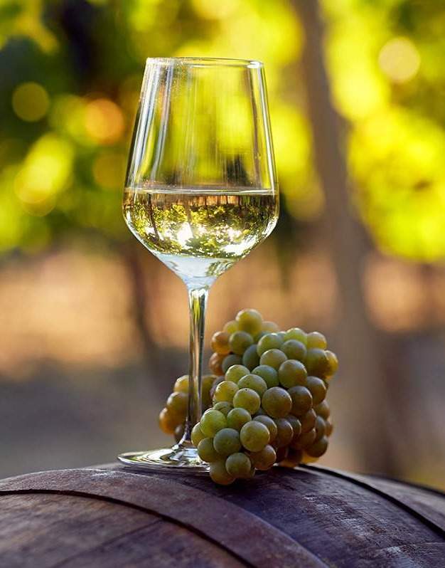 Découverte sensorielle de nos meilleurs millésimes